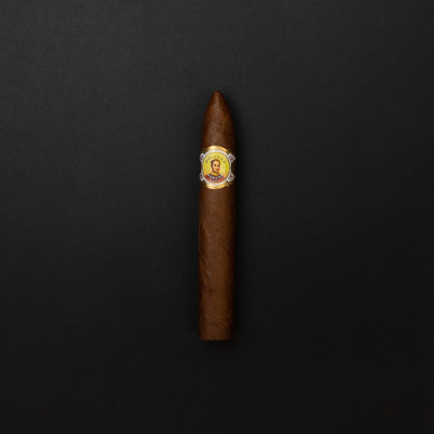 BOLIVAR BELICOSO
